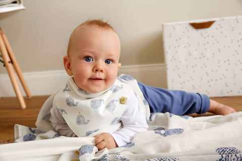 Baby Bandana Little Water Whale